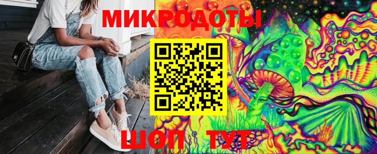 Галлюциногенные грибы Psilocybe Анапа