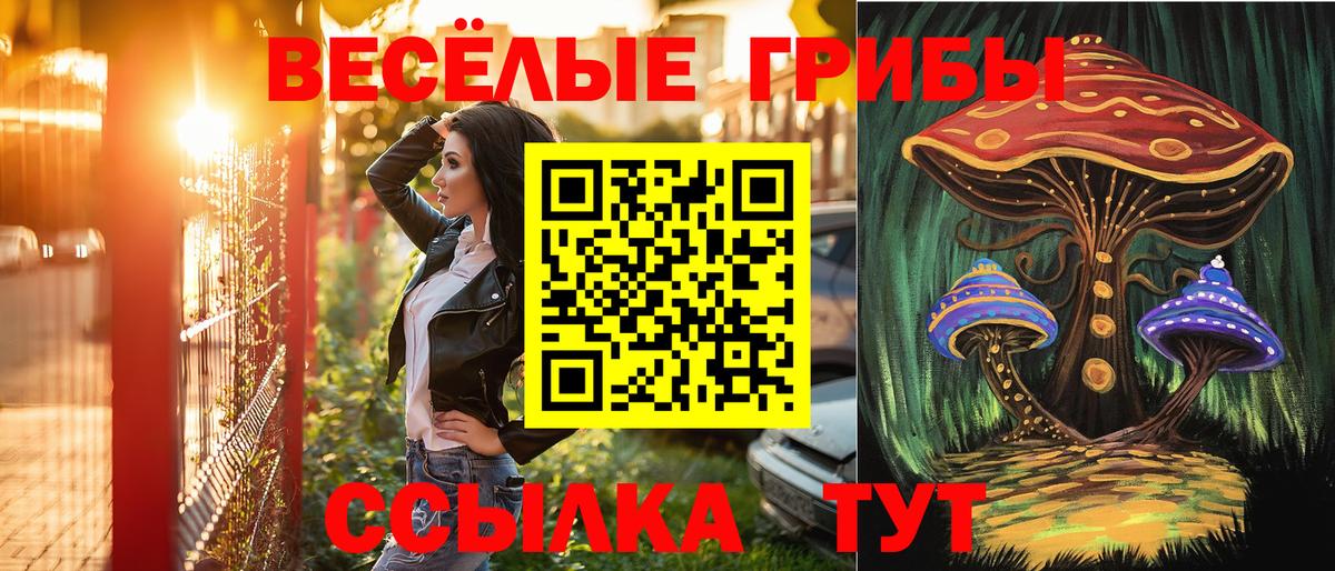 хочу наркоту  Псилоцибиновые грибы мухоморы  Псилоцибиновые грибы мухоморы  Вход с VPN  Анапа 